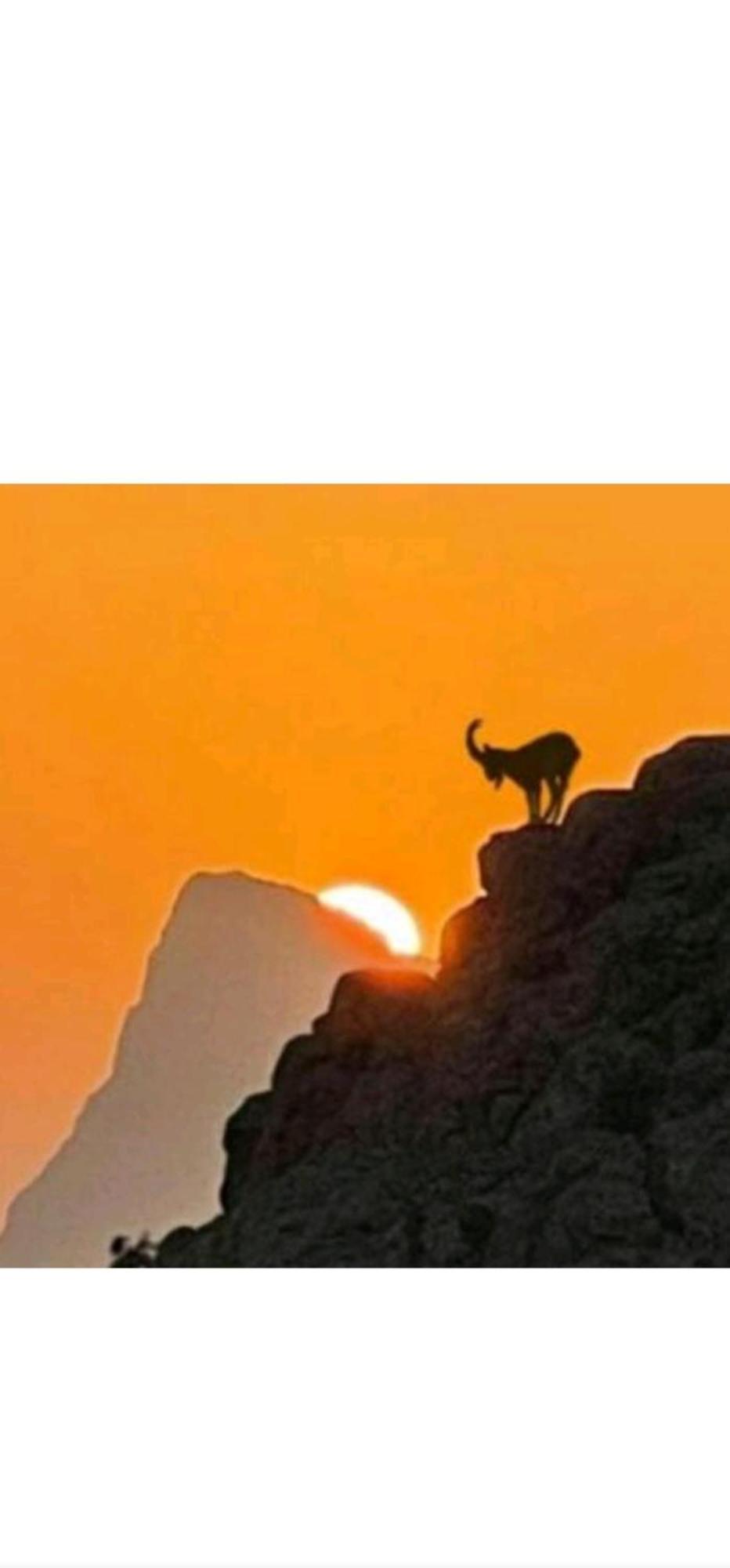 Willa جبل شمس Jabal Shams Sunset House Dar Sawda Zewnętrze zdjęcie